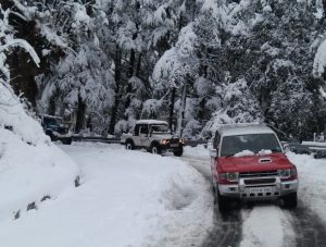 SHIMLA KULLU MANALI CAR TOUR1